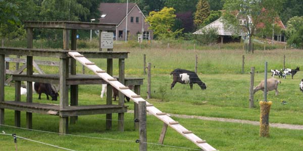 Natuurboerderij Lindenhoeve Dalfsen Malanico