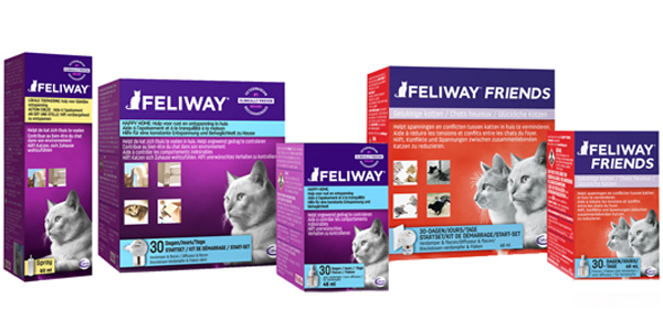 feliway kat