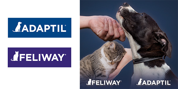 feliway adaptil